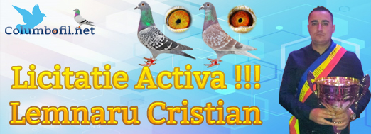 https://www.columbofil.net/index.php?act=licitatii&id=2410